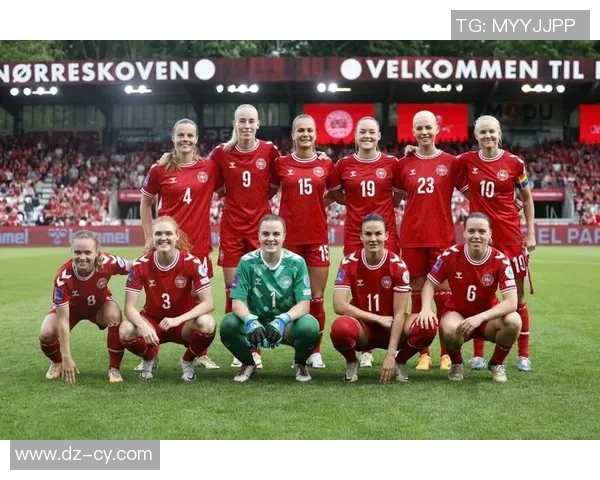 2018年丹麦足球明星回顾与成就分析