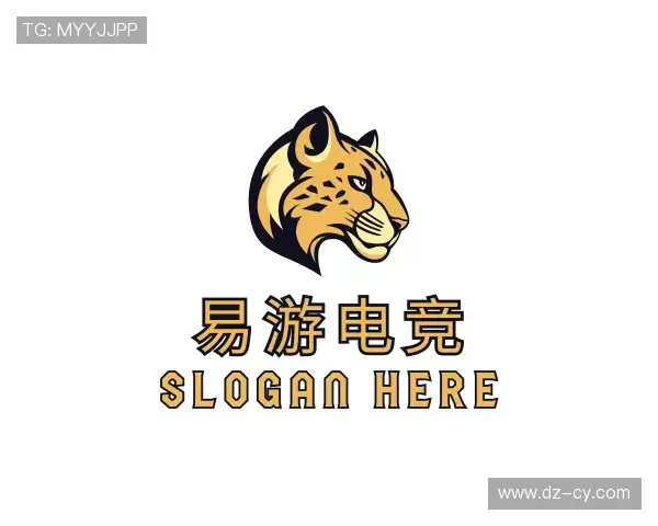 介绍易游电竞